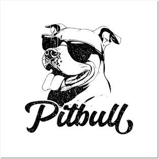 Pitbull dog Posters and Art